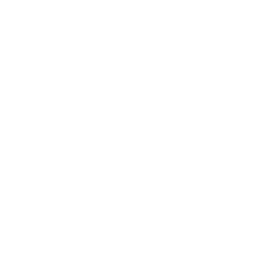Python programming language logo