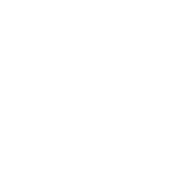 WordPress logo